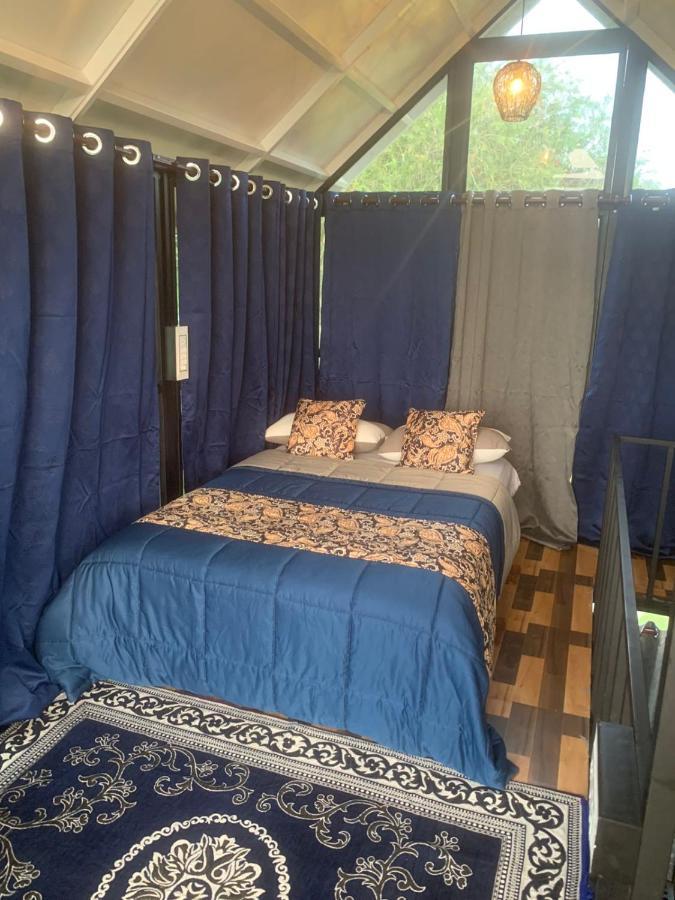 Chalets Resort Masinagudi Ooty Exterior foto