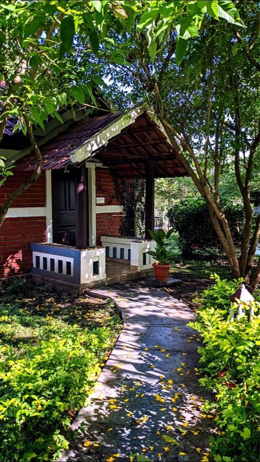 Chalets Resort Masinagudi Ooty Exterior foto